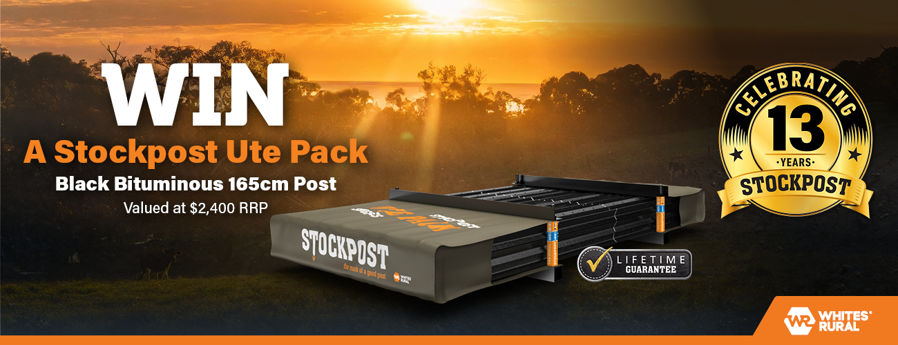 WIN_Stockpost 13th Anniversary A4 web banner