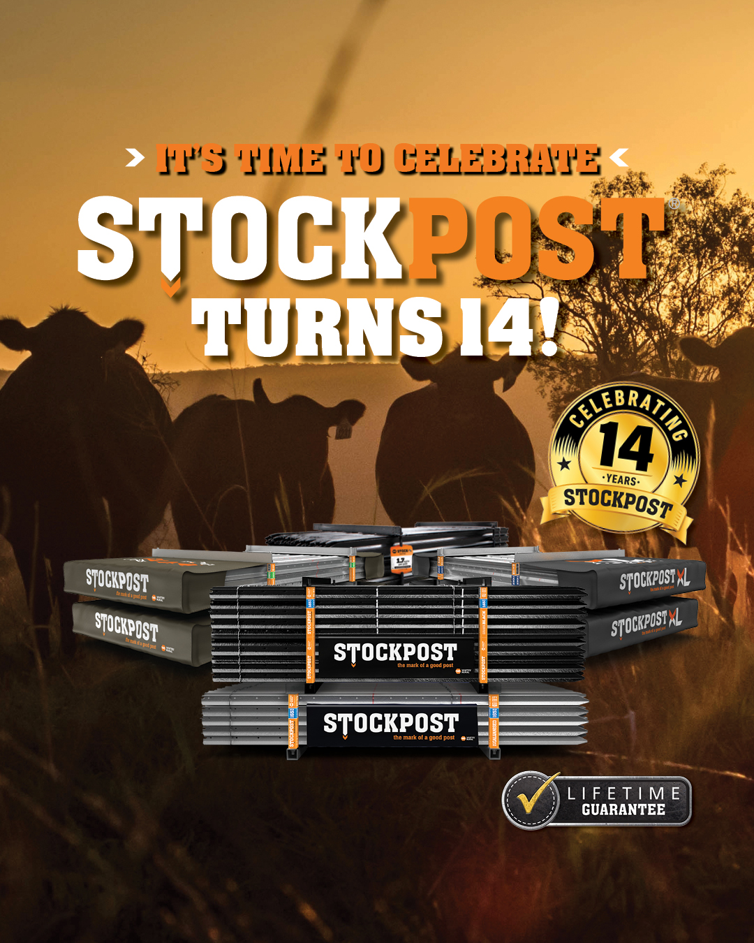 WG9814_Stockpost-14YrBirthday-SocialTile_FINAL2